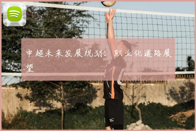 中超未来发展规划：职业化道路展望