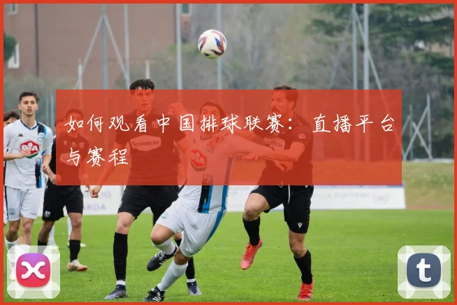 如何观看中国排球联赛：直播平台与赛程